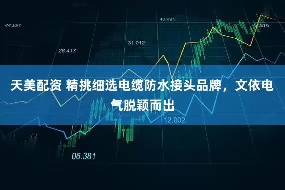 天美配资 精挑细选电缆防水接头品牌，文依电气脱颖而出