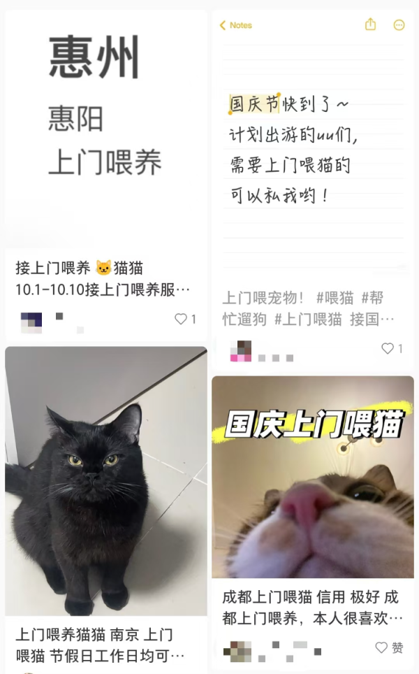 光大e配 国庆期间宠物托养代喂生意火爆：有人称接了大约270单，最大客户家养9狗11猫
