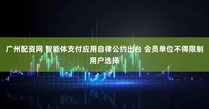 广州配资网 智能体支付应用自律公约出台 会员单位不得限制用户选择